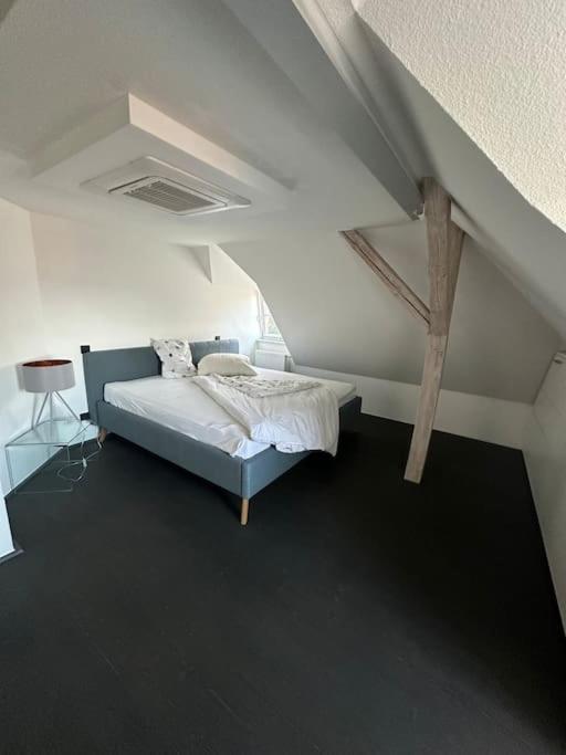 Panorama Penthouse In Wunderschoener Villa Kassel Exterior foto